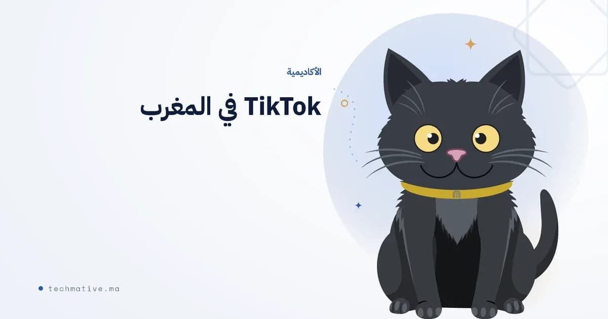 متى تنشر على TikTok في المغرب؟ (+ عدد المرات)